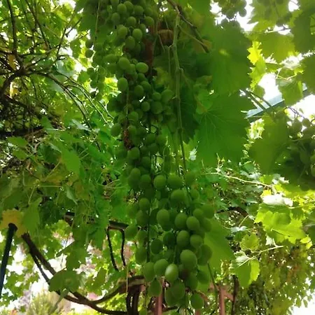 Muestakil, Oezel Havuzlu, Jakuzi Ve Saunali Villa