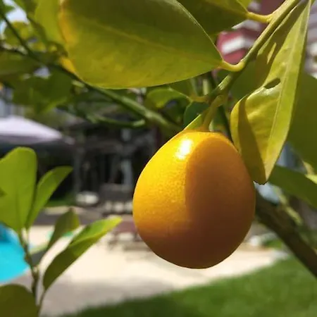 Villa Muestakil, Oezel Havuzlu, Jakuzi Ve Saunali Belek