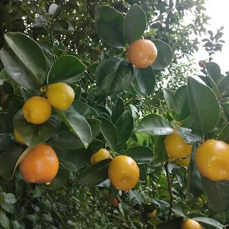 Muestakil, Oezel Havuzlu, Jakuzi Ve Saunali וילה *